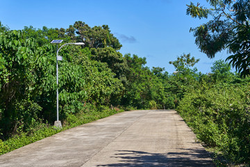 Straight asphalt road through the jungle