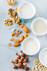 Assortment of organic vegan non diary milk from nuts