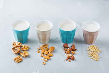 Obraz na płótnie Canvas Assortment of organic vegan non diary milk from nuts