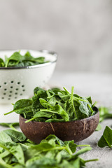 Baby spinach leaves