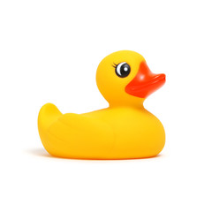 Yellow rubber duck on white