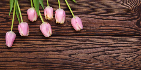 Pink tulips bunch on wood planks background
