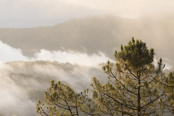 Mountains during sunset. Beautiful natural landscape in the summer time