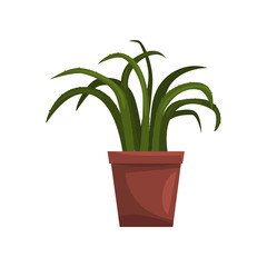 Aloe indoor house plant in brown pot, element for decoration home interior vector Illustration on a white background