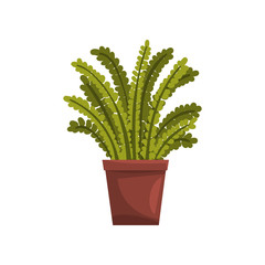Fern indoor house plant in brown pot, element for decoration home interior vector Illustration on a white background