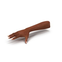 African American Female Hand on white. 3D illustration
