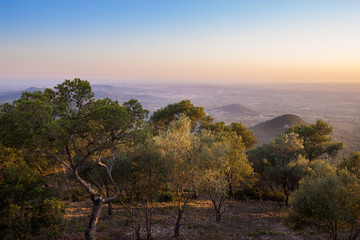 Fototapeta na wymiar Sonnenuntergang in den Bergen von Mallorca - Warmes Licht und satte Farben