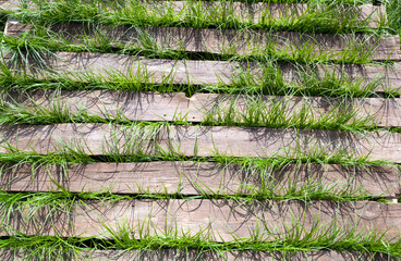 Wood table, nature background