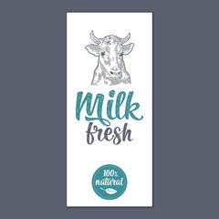 Template poster or label with cow. Milk Fresh lettering