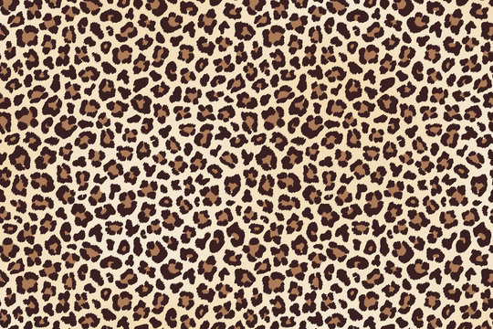 Leopard spots fur, horizontal texture. Vector