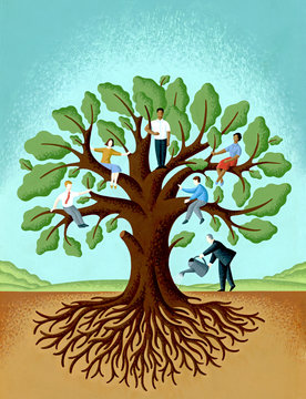 GROWTH