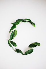 Letter G made of green leaves. Letter G shape on white background. Concept of preserving ecology...