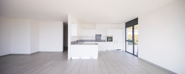 Interior of modern apartment, kitchen