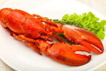 Lobster
