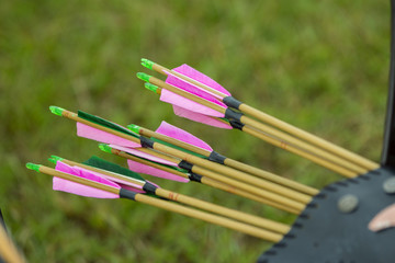 some fletch arrows