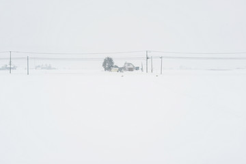 Houses on white snow field with utility poles and lines