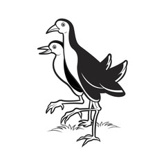 Obraz premium two water hens walking vector cartoon 