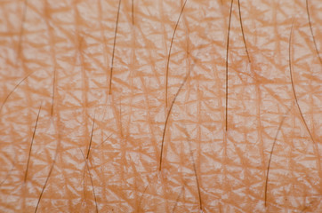human skin texture up macro of brown person clean skin stock image image of search photos ectoderm human skin texture up macro of brown person clean skin stock image image of search photos ectoderm