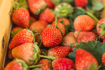  strawberries  in paper box.