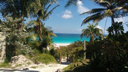 Beautiful view of Caribbean sea in the pink sand beach in Harbour Cay in Bahamas