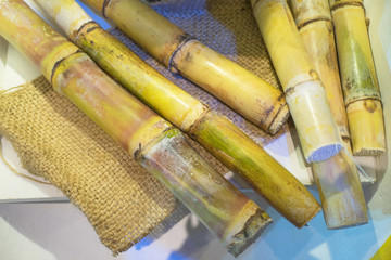 Fresh green sugarcane cut on bag sack background