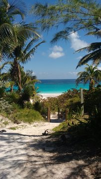 Beautiful view of Caribbean sea in the pink sand beach in Harbour Cay in Bahamas