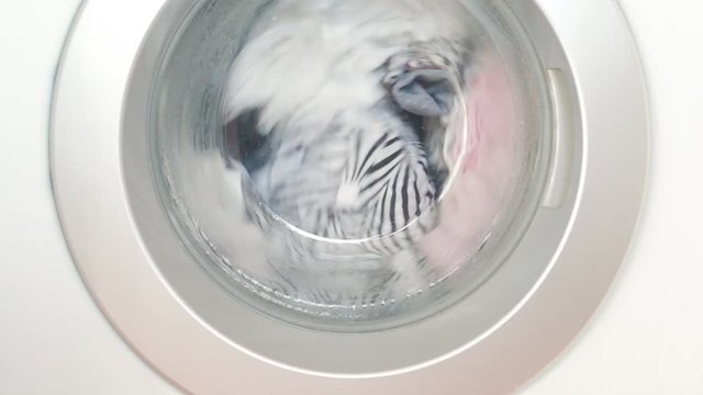 Washing machine spinning working detail close-up, wash cloth laundry
