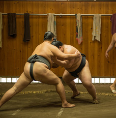 Sumo fighters and sumo wrestlers training in sumo stables preparing for the sumo tournament in Tokyo, Japan - obrazy, fototapety, plakaty