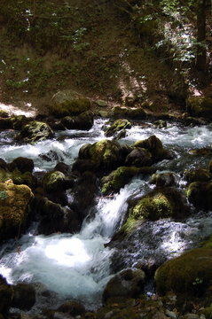 A small mountain stream in the forests in the north of Montenegro.