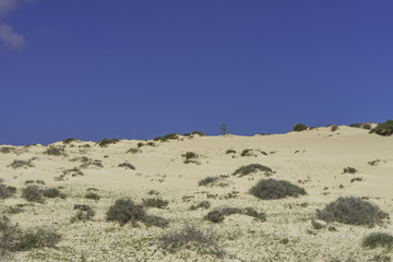 Landscape Dunes Of Canary Islands, Spain.