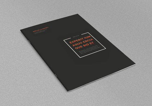 Modèle de brochure minimaliste