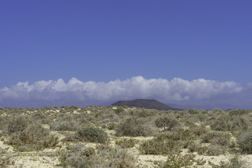 Fototapeta na wymiar Landscape Dunes Of Canary Islands, Spain.