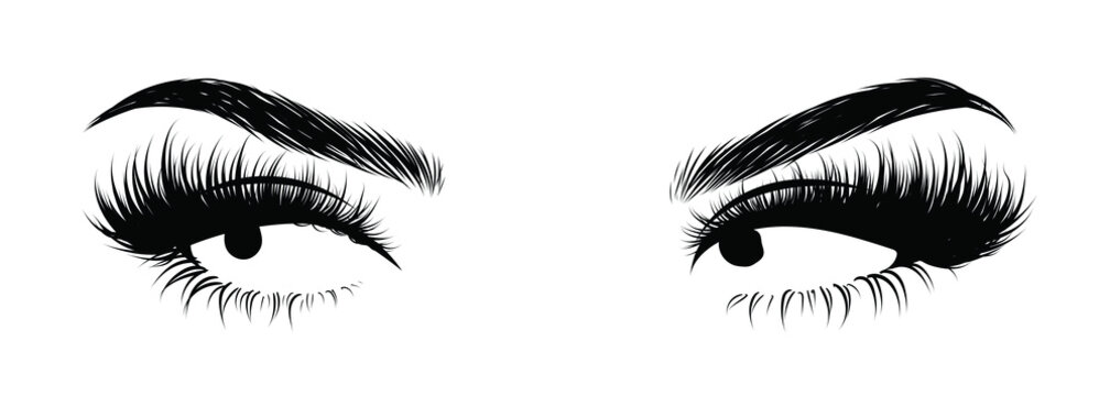 Illustration of woman's sexy luxurious eye with perfectly shaped eyebrows and full lashes. Hand-drawn Idea for business visit card, typography vector. Perfect salon look.