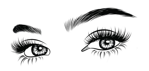 Illustration of woman's sexy opened eye with perfectly shaped eyebrows natural  and full lashes. Hand-drawn Idea for business visit card, typography vector, print for t-shirt. Perfect salon look.