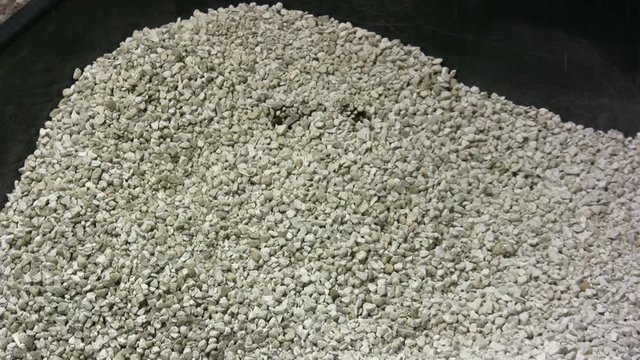 A pooper scooper removes cat poop from the litter box.
