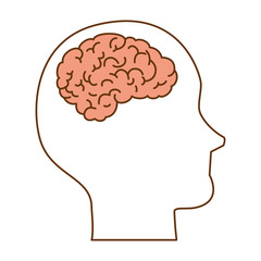 human profile with brain