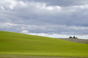Fototapeta premium Val d'Orcia countryside, tuscany landscape