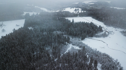 Schwarzwald im Winter aus der Luft