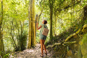 Young woman on trekking trail tropical rain forest
