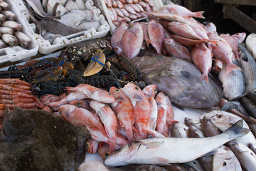 fish market in Morocco in Essaouira