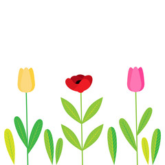 Spring flowers with leaves, colorful vector illustration background, isolated with flowers; tulip, poppy flower.