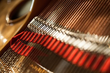 Inside of the Grand Piano - Close Up
