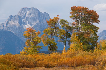 View of Mount Moran in Wyoming in the USA
