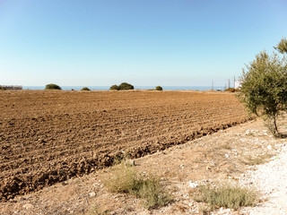 Plowed field in Cyprus