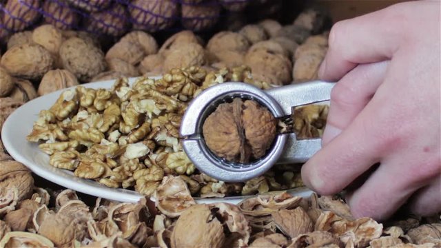nutcracker and walnut,A man cleans nuts from a shell tool