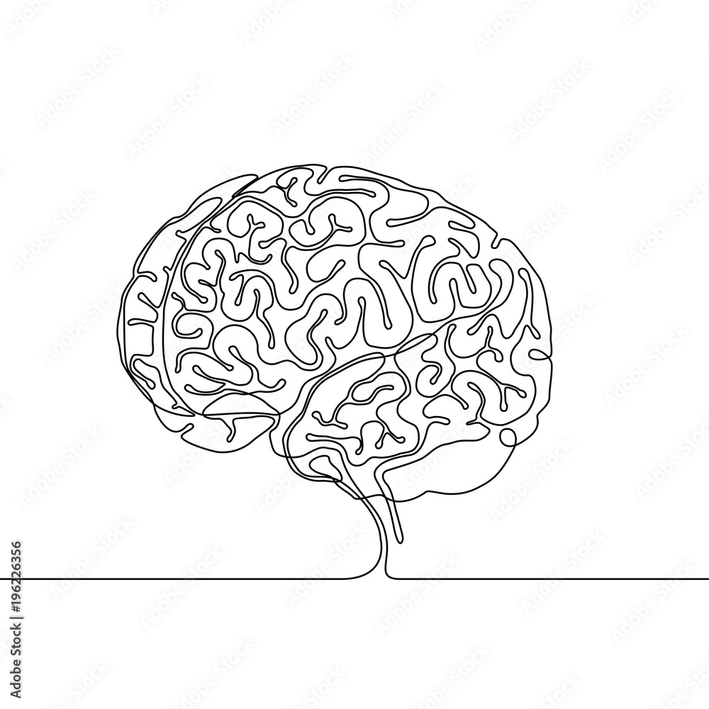 Wall mural Continuous line drawing of a human brain with gyri and sulci, multipurpose single line concept or icon