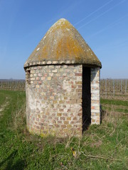 Weinbergtrullo bei Flörsheim-Dalsheim / Rheinhessen