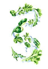 Fototapeta premium Fresh salad herbs in the water splash. Watercolor hand drawn illustration isolated on white background