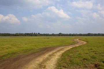 sri lankan landscape at minnerya