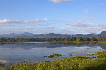 Fototapeta na wymiar sri lankan mirror lake at wasgamuwa national park